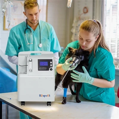 Fa le fusa, scodinzola e respiri facili: ossigenoterapia per animali domestic...