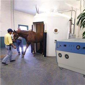 Il concentratore dell'ossigeno della mucca del cavallo si collega con la camera iperbarica dell'ossigeno